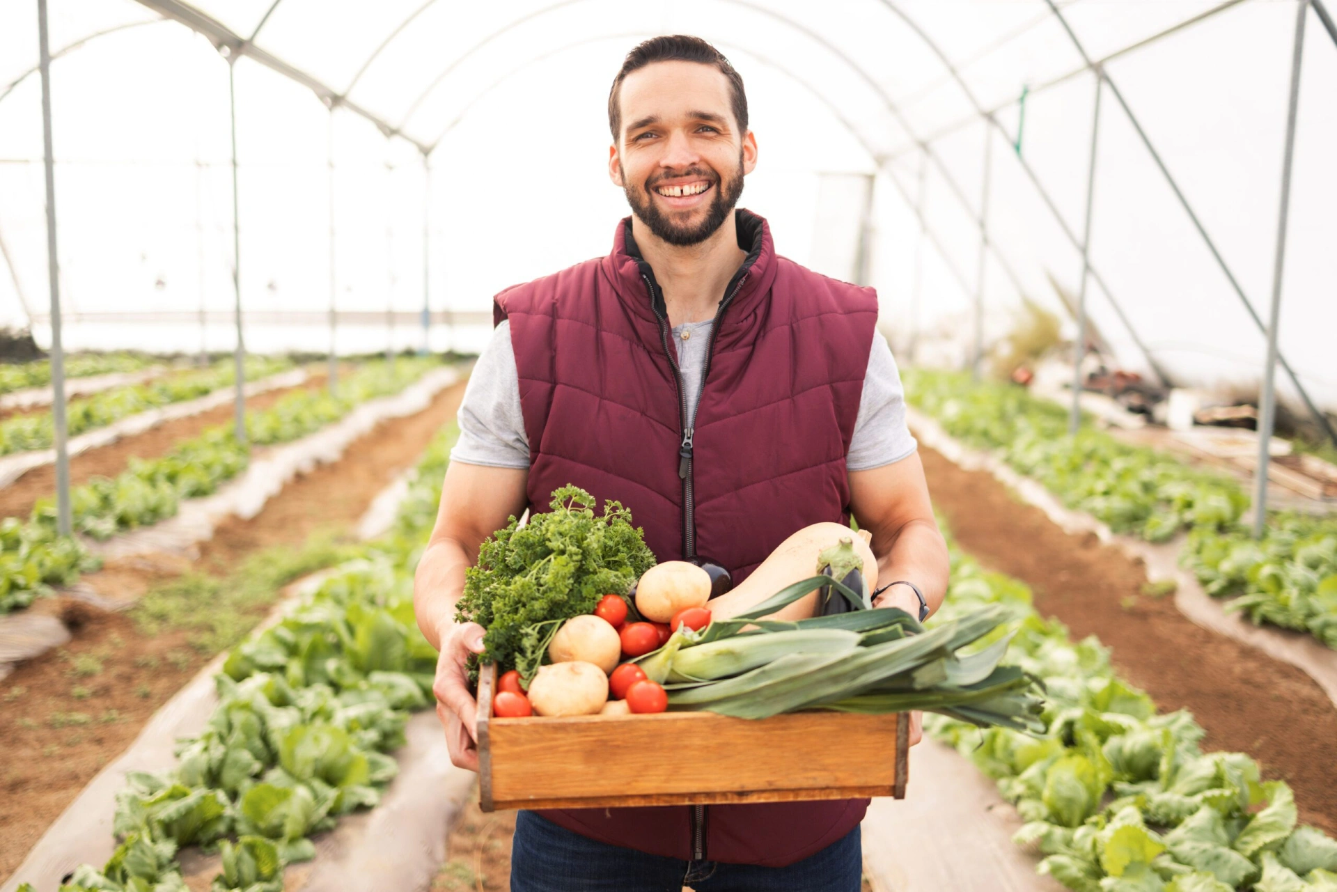 Capa de BENEFCIOS DA AGRICULTURA CIRCULAR E A REUTILIZAO DE RESDUOS